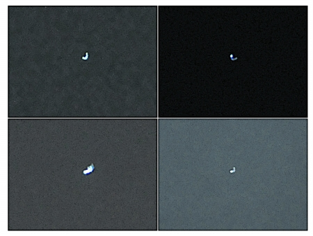 �������������ߴ�<a href=http://www.xinjiewang.com/zhouyiyanjiu/2/11/ target=_blank class=infotextkey>����</a>���(��ͼ)