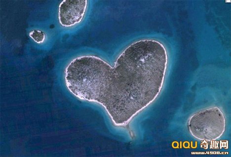 ���޵������ε�