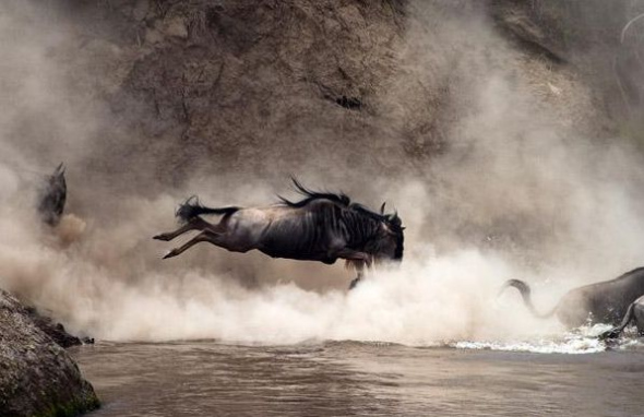 ����ˮ�еĴ�����