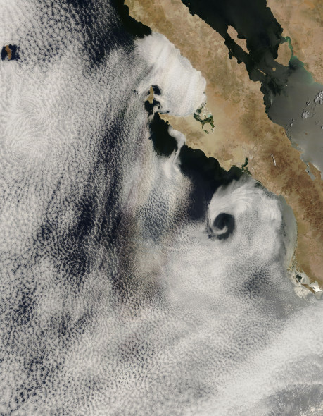 �¼�����������&ldquo;���ջ�&rdquo;����