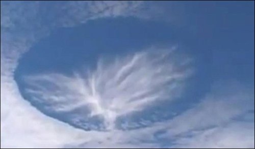 ī�������ֹ������� �硶�����ա����Ƿɴ�