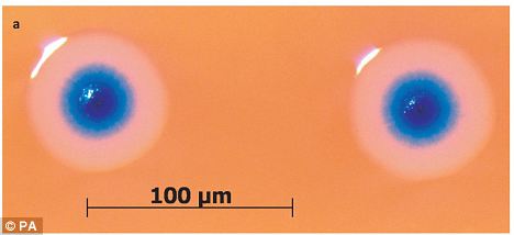 ��������&ldquo;�����&rdquo;����ͼ