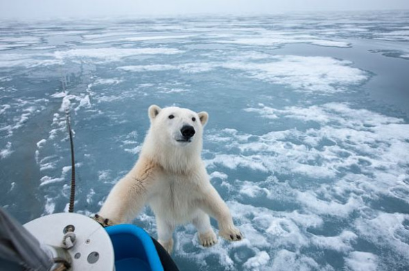 ������վ��Ͽ�����