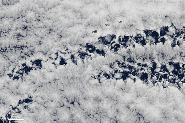 ��Щ�ƶ�������һ�����ܵ�������