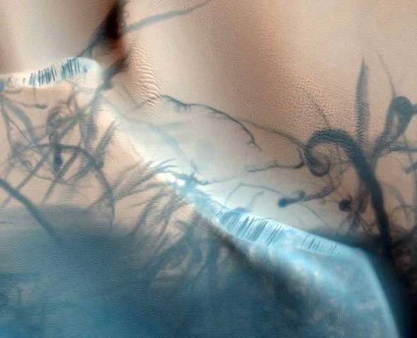 ����ɫ����