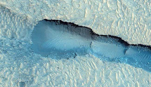 �Ʋ���˹�۹���һ����֧