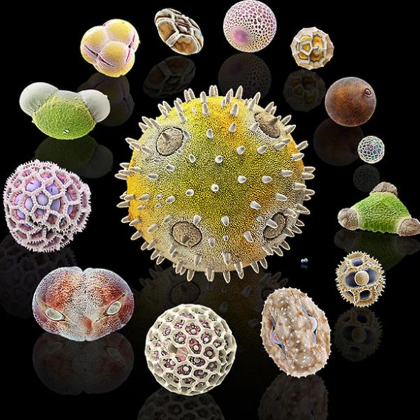 �������������С���졣��Ƭ��������Ϲϻ����������·��Ǹ�΢С�ߵ㣬�Ҳ��������ݵ���ɫ����