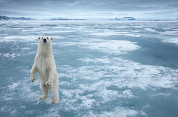 ������վ��������