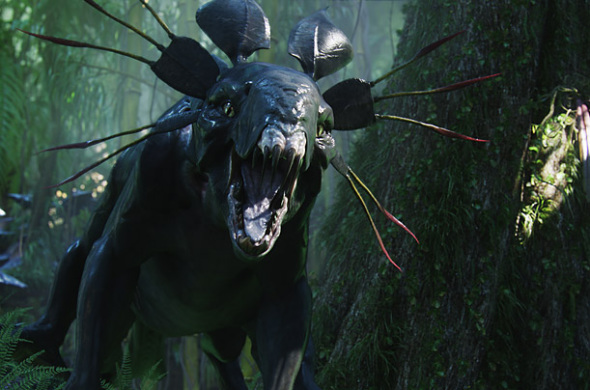 �˶����ϵ�������