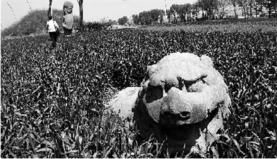 <a href=http://www.xinjiewang.com/why/02/ target=_blank class=infotextkey>�Ƽ�</a>ʱ��_�Կ�ط��Ĺ��������������(ͼ)