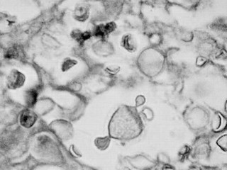 ���������������