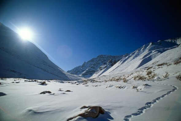 ����֮�Ź��ҹ�԰(ͼƬ�ṩ��Alaska Stock Images, National Geographic)