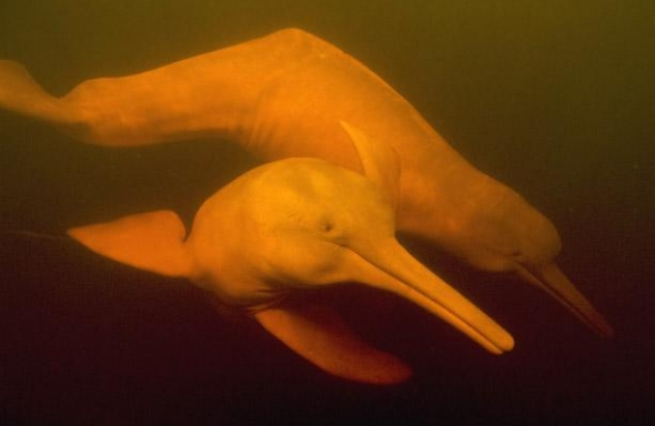 �޴�ˮ��ɺ���������԰