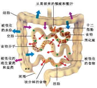 20111128094738726.jpg